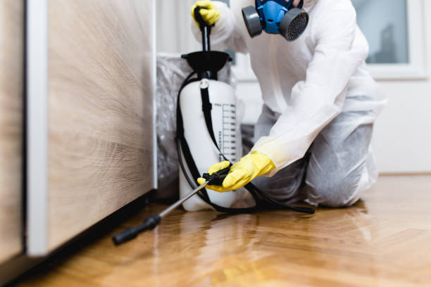 Best Exterminator Services  in Roscoe, IL
