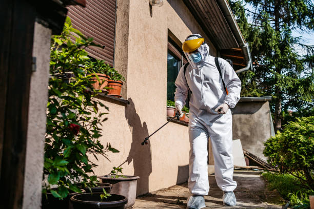 Best Best Pest Control Companies  in Roscoe, IL