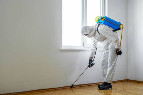 Best Residential Pest Control  in Roscoe, IL
