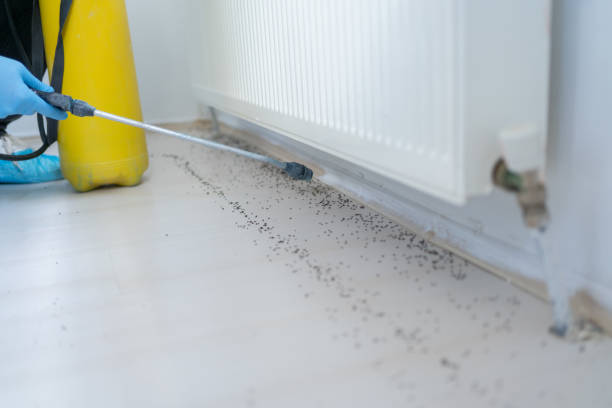 Best Pest Removal Services  in Roscoe, IL